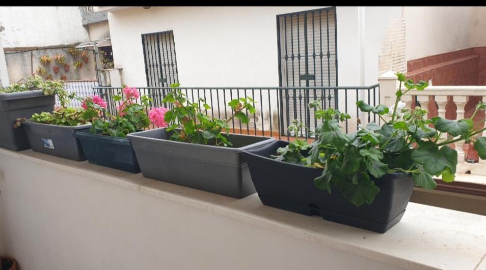 Apartamento Brianna Jerez de la Frontera Dış mekan fotoğraf